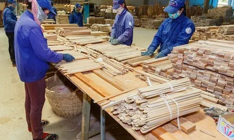 Phú Tài đóng cửa loạt nhà máy ở Khánh Hòa, Đắk Nông