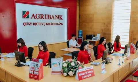 Agribank rao bán khoản nợ trăm tỷ thế chấp bằng 7 lô đất diện tích từ 1.300m2