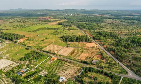 Thủ tướng thúc các địa phương ban hành văn bản thi hành Luật Đất đai