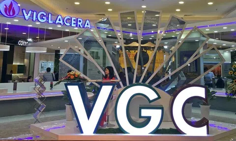 Viglacera dự chi hơn 560 tỷ đồng để trả cổ tức