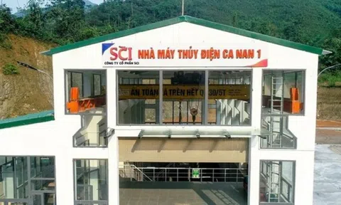 SCI bị xử phạt và truy thu hơn 170 triệu đồng tiền thuế