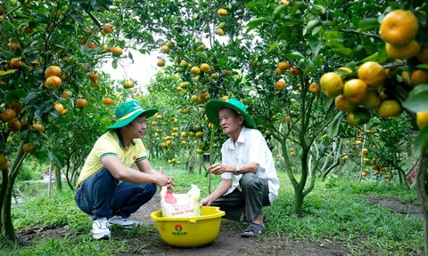 Phân Bón Cà Mau: Hỗ trợ 4 tỷ đồng giúp bà con nông dân vùng lũ lụt tái sản xuất