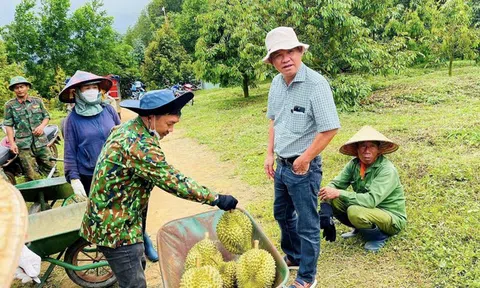 Các mảng kinh doanh "đi lùi", Hoàng Anh Gia Lai vẫn báo lãi tăng trưởng