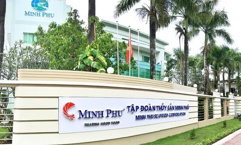 Thủy sản Minh Phú thoát lỗ