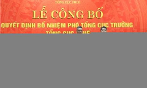 Cục trưởng Cục Thuế Hà Nội làm Phó tổng cục trưởng Tổng cục Thuế