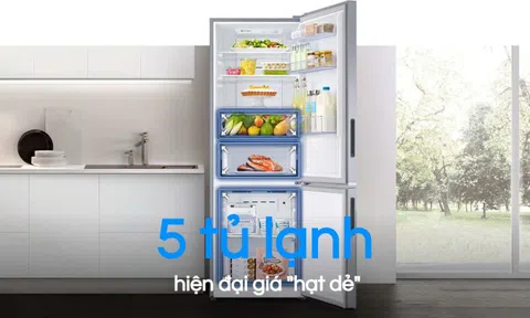 5 chiếc tủ lạnh giá dưới 10 triệu, thích hợp nhà trọ, gia đình trẻ