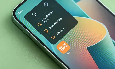 Temu dừng hoạt động tại Việt Nam