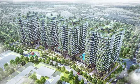 Sunshine Homes chi 1.000 tỷ mua công ty sở hữu 4 toà chung cư cao cấp tại Long Biên