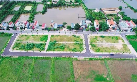 Sốt đất đấu giá tan nhanh như bong bóng, nhà đầu tư rút ra bài học đau thương