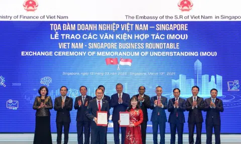 Trường Đại học VinUni và đại học NTU – Singapore ký kết hợp tác Liên minh chiến lược