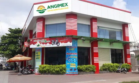 Angimex bị phạt do vi phạm quy định giao dịch cổ phiếu