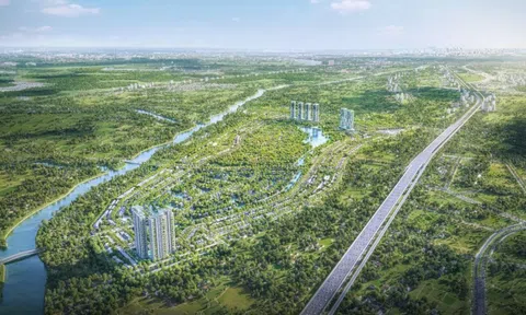 Ecopark và hành trình kiến tạo rừng retreat đầu tiên tại Việt Nam