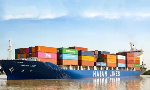 Chuyển đổi hơn 200 tỷ trái phiếu thành cổ phiếu của công ty sở hữu đội tàu container lớn nhất Việt Nam, nhóm SSIAM lãi gấp đôi sau 1 năm