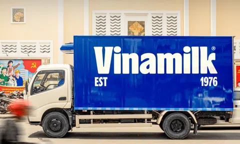 Vinamilk: Lộ diện 20 NĐT lớn nhất nắm 75,8% cổ phần, có sự hiện hiện của một loạt "cá mập" hàng đầu thế giới