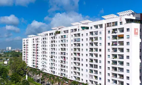 Ban quản trị chung cư bị phạt gần 120 tỷ đồng