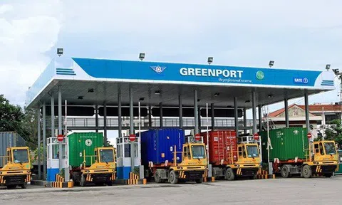 Viconship sắp phát hành 74,8 triệu cổ phiếu thưởng và trả cổ tức