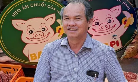 Sự biến mất của chuỗi cửa hàng heo ăn chuối - giấc mộng một thời của bầu Đức