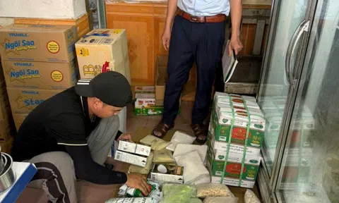 Hàng trăm gói cùi bưởi, trà thái, khoai dẻo... bị buộc tiêu huỷ vì không rõ nguồn gốc, xuất xứ