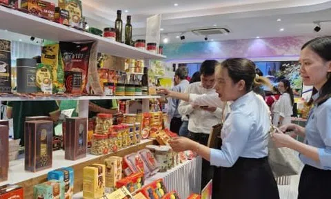Doanh nghiệp Việt chạy nước rút trước khi Mỹ áp thuế đối ứng