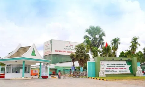 GreenFeed "vượt mặt" Dabaco, BAF, HAGL