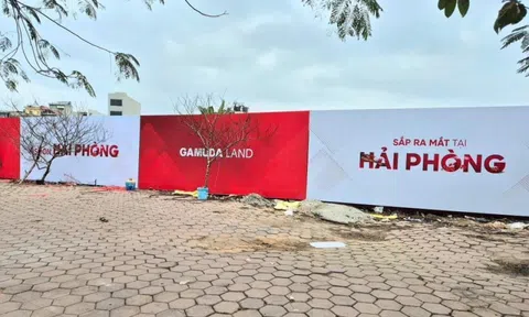 Hải Phòng chuyển 10.000 m2 đất trồng lúa sang phi nông nghiệp để xây công trình thương mại, giao cho doanh nghiệp nội liên quan Gamuda Land