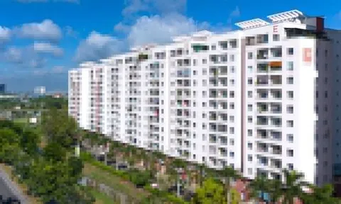 Ban quản trị chung cư ở TP.HCM bị phạt gần 120 tỷ đồng