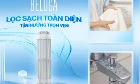 Bộ lọc đầu nguồn Beluga - Lớp bảo vệ cho tổ ấm gia đình