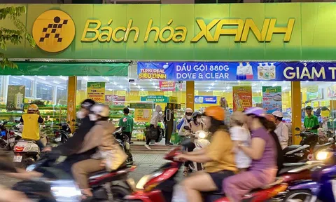 CEO Bách Hóa Xanh muốn 'chốt lời' 200.000 cổ phiếu Thế Giới Di Động