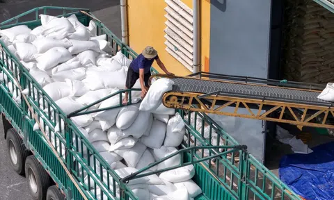 Doanh nghiệp ngành gạo ngụp lặn trong thua lỗ quý I/2025