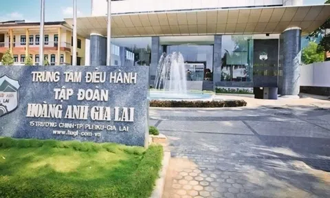 Hoàng Anh Gia Lai 'cắt' nốt công ty liên kết duy nhất, tập trung làm lớn