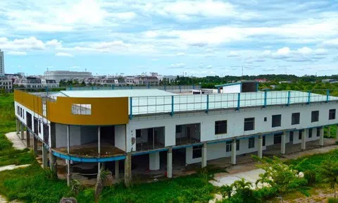 Thu hồi 2ha 'đất vàng' bỏ hoang nhiều năm ở Cà Mau