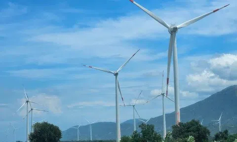 173 dự án điện gió, mặt trời đồng loạt "kêu cứu": Đề nghị giữ nguyên giá FIT