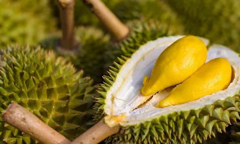 Thủ tướng có chỉ đạo "nóng" về xuất khẩu sầu riêng