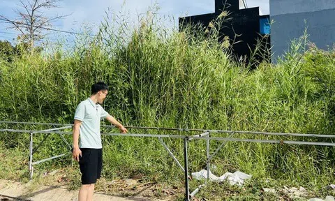 Đất nền tỉnh tăng giá như “lên đồng”