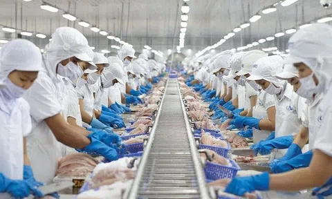 Vĩnh Hoàn tháng 4/2025: Xuất khẩu sa sút, doanh thu đi lùi
