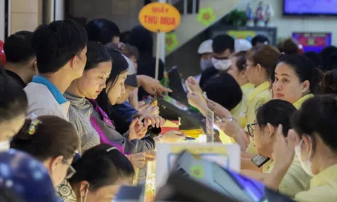 Giá vàng miếng, vàng nhẫn đồng loạt lao dốc