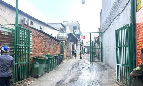 Công an vào cuộc vụ gần 50 căn nhà liền kề xây trên đất nông nghiệp ở Bình Dương