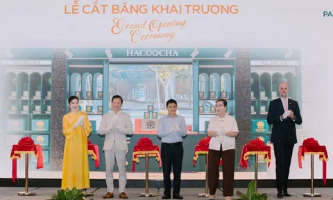 Trà Hà Giang – Từ đỉnh núi cao đến tầm cao thế giới