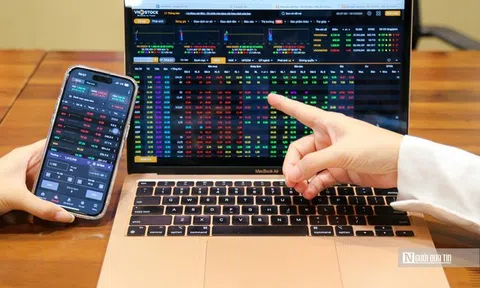 Thị trường chứng khoán rung lắc, nhà đầu tư cần "gạn đục khơi trong" trước sóng mới