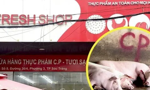 Chủ tịch Sóc Trăng ra công văn hỏa tốc vụ Công ty C.P. bị tố bán thịt heo bẩn
