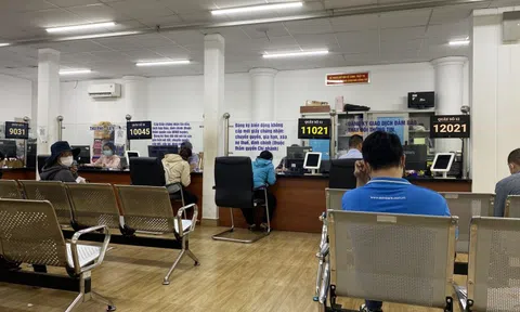 Người dân TP.HCM có thể nộp hồ sơ phi địa giới ngay năm nay