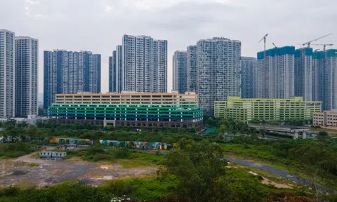 FLC, Tân Hoàng Minh trở lại cùng loạt dự án, giá thấp nhất 80 triệu/m2