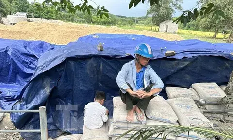 Để hơn 200 tấn xi măng hư hỏng, chủ tịch xã bị bắt