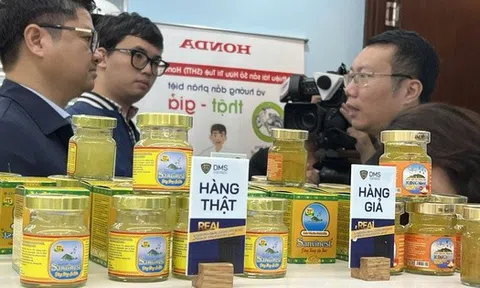 Bát nháo thị trường yến sào