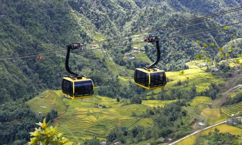 Tài sản của công ty khai thác cáp treo Fansipan tăng mạnh trong năm 2024