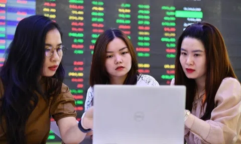 Cổ phiếu 'họ Vin' lao dốc ngược dòng thị trường