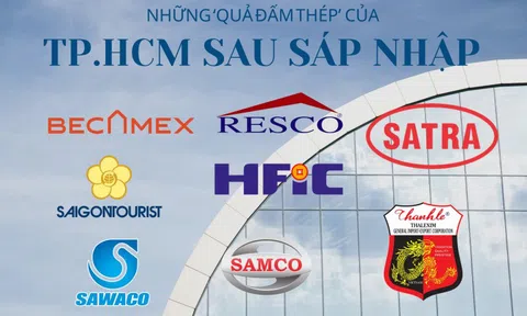 Hơn 20 'quả đấm thép' tài sản 180.000 tỷ của UBND Tp.HCM sau sáp nhập: Lĩnh vực nào là 'vua'?