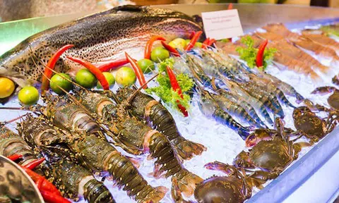 Hộ kinh doanh bán thủy sản đạt doanh thu 560 tỷ đồng/năm, cao hơn nhiều doanh nghiệp niêm yết