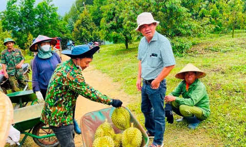 Bầu Đức tuyển gấp 100 kỹ thuật viên sầu riêng, thưởng 700.000 đồng cho ai giới thiệu ứng viên, không giới hạn số lần