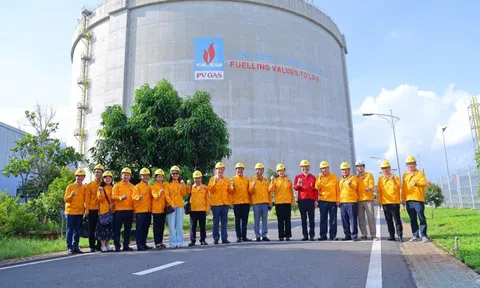 Đảng ủy Chính phủ khảo sát mô hình tổ chức Đảng tại Petrovietnam
